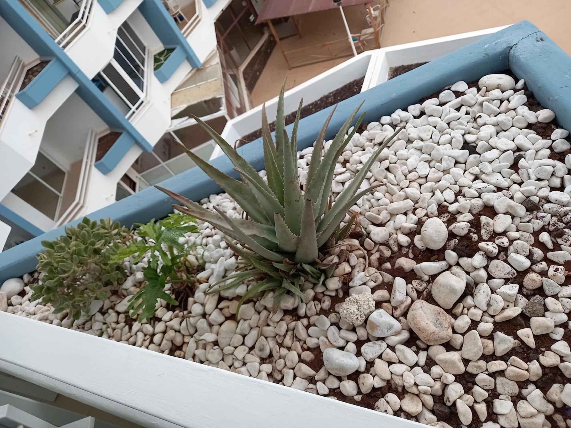 Cousy Holiday Apartment In Sunny Golf Del Sur San Miguel de Abona Exteriör bild